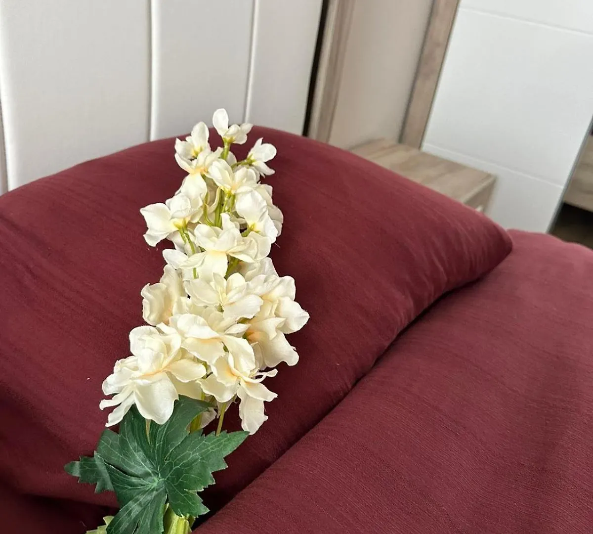 Center Elegant Living Apartment Sofia
