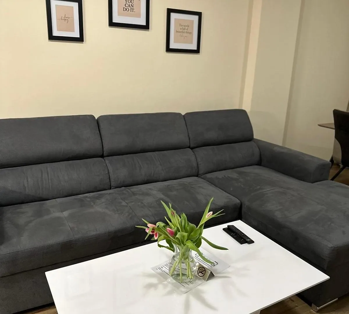 Center Elegant Living Apartment Sofia